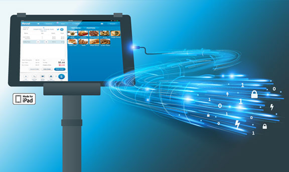 An Ethernet Cable for the Apple iPad?