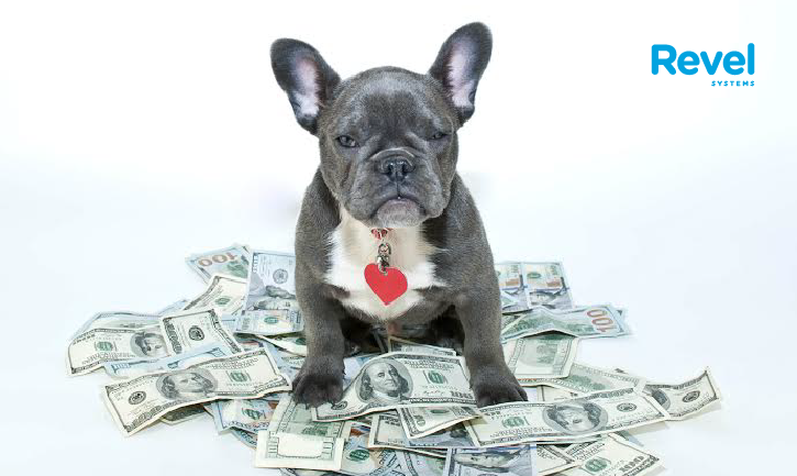 Revel POS 101: Managing Your Cash Flow Like a Boss