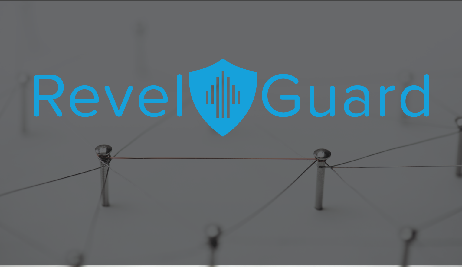 Revel POS 101: Networking Peace of Mind with RevelGuard