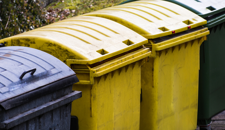 The True Cost Of Food Waste